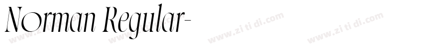 Norman Regular字体转换